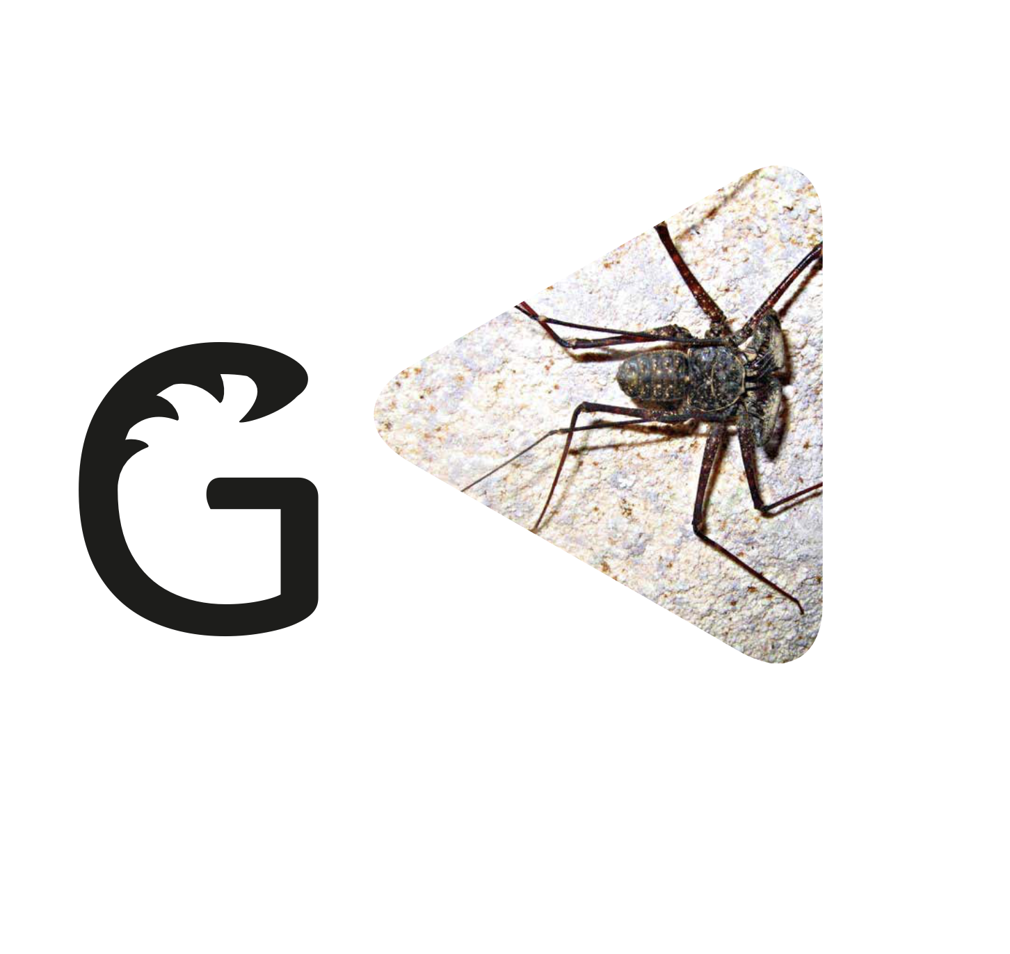 Sobre Guabá
